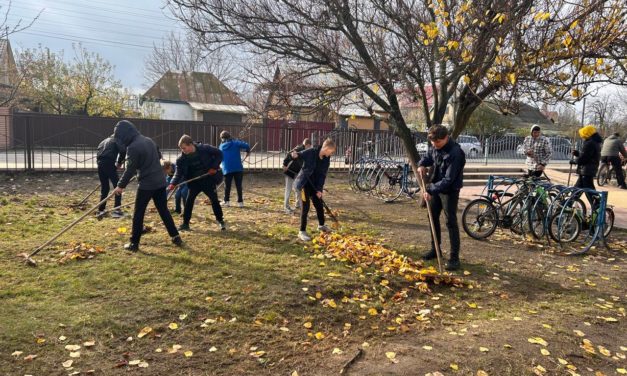 Благоустрій школи