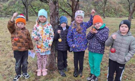 День Синички у нашій школі!